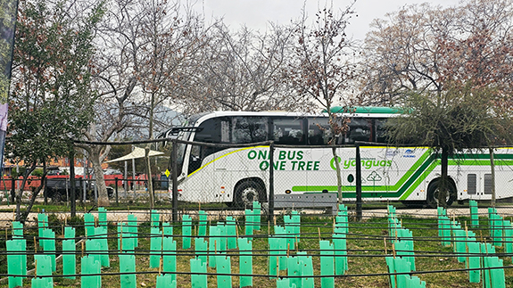 Yutong Plants 1,000 Trees in Chile’s Net Zero Forest to Boost Ecological Sustainability
